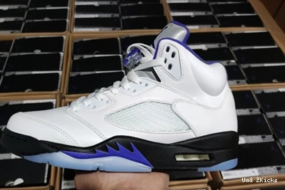 DD0587-141 Fashionable CONCORD Air Jordan5 587 0730